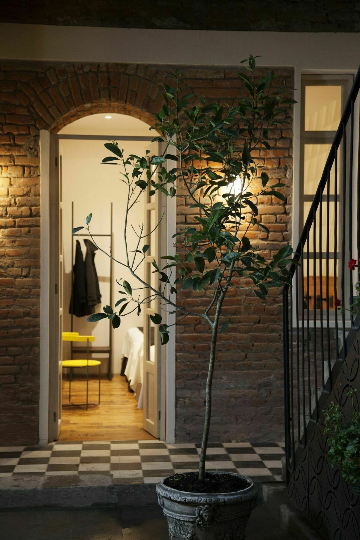 קיטו Carlota Sustainable Design Hotel מראה חיצוני תמונה