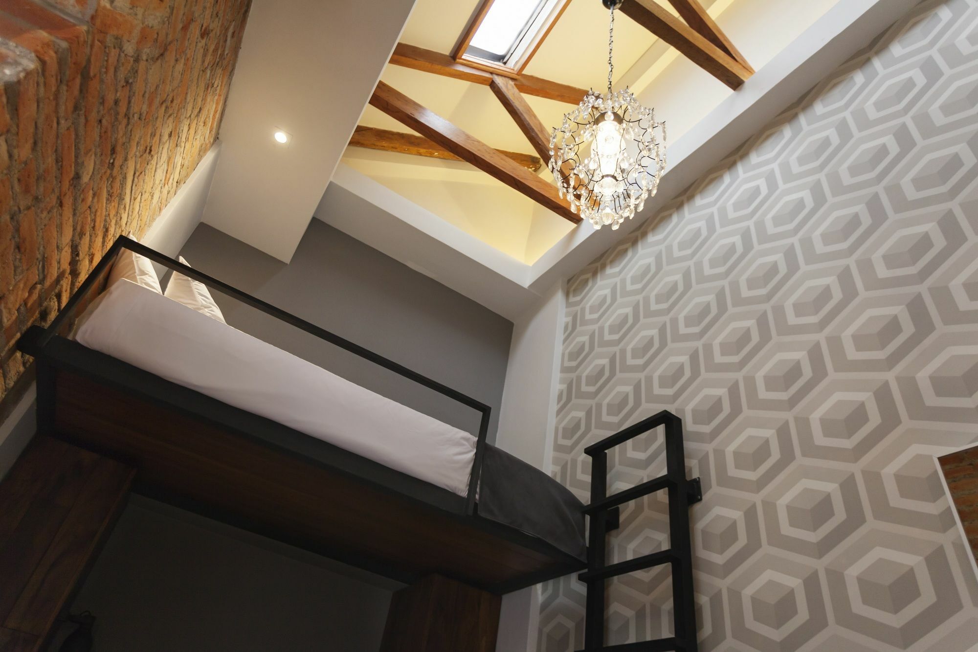 קיטו Carlota Sustainable Design Hotel מראה חיצוני תמונה